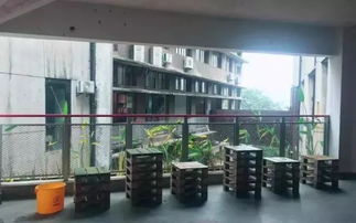 鵝嶺二廠 美食與歷史的文藝打卡圣地